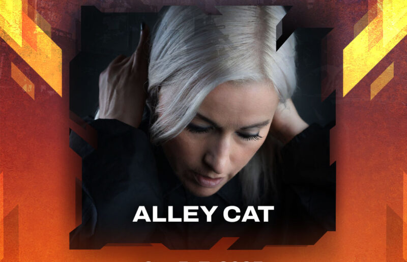 Alley Cat (UK)